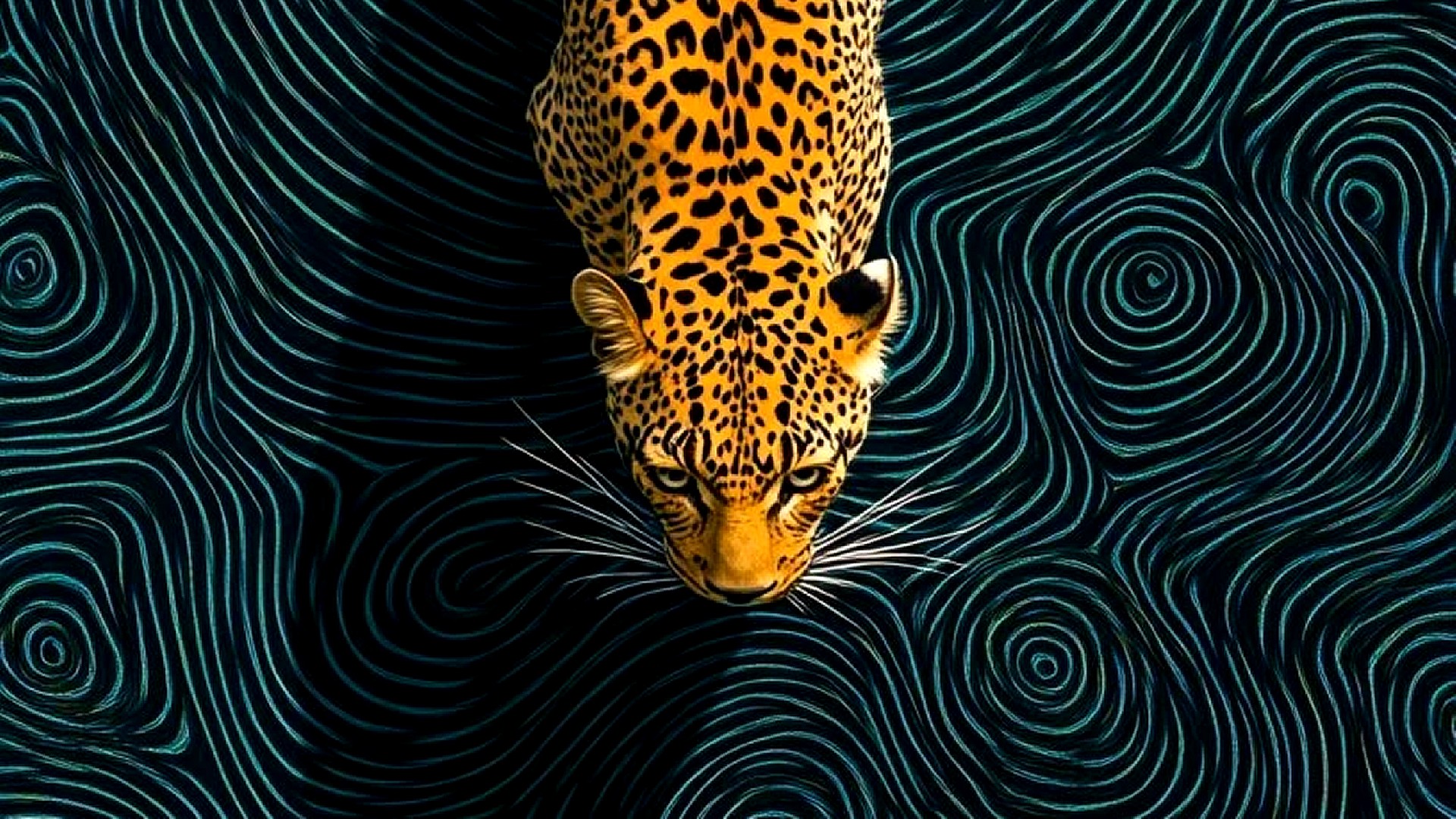 The Prowl on Yara Centum